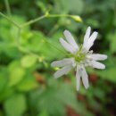 제일온천 이미지