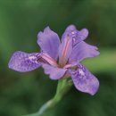 대청민박 이미지