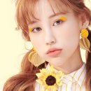 단델리온 이미지