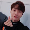 진영