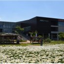 강원도디엠제트박물관 이미지