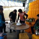 참다래농장 이미지