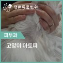 초읍동물병원 이미지