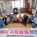 월호도요 이미지