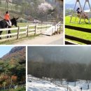 해피알프스 이미지