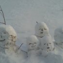 김태희농장 이미지