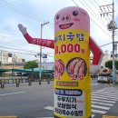 복돼지마켓 | 경남 고성 국밥 고성읍 복돼지국밥 맛후기