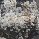 견우공원 이미지