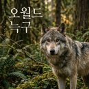 수색119안전센터 화장실 | 대전 오월드 늑구 탈출 현재 상황 및 실시간 수색 현황 정리