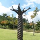 내장산조각공원 이미지