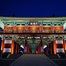 달빛테라피 이미지
