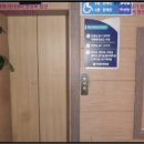 화니핀헤어 이미지