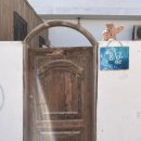 영화여관 | 이집트 다합 한인 게스트하우스 퐁당여관 1달+살기 후기!!!