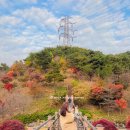 삼선산 수목원 | 충남 당진 가볼만한곳 삼선산수목원 단풍 실시간 후기
