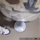 율생중앙로 | 4월 봄맞이 옷장정리, 헌옷사냥꾼 통해서 헌옷 돈으로 바꾸는 방법