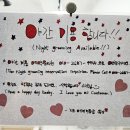 지오애견미용샵 이미지