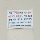 [일상 공유] 메디 플라워 헬스케어 건강검진 (주차/후기)
