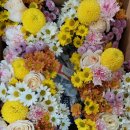 샘머리초교병설 이미지