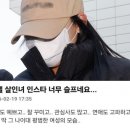 모텔씨 이미지