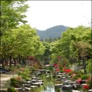 경상남도 수목원 이미지