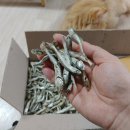 국민 밑반찬 ! 고추장 멸치볶음 만드는법