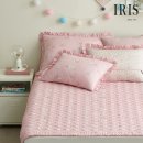 아이리스 이미지