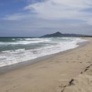 고래불 해수욕장 이미지