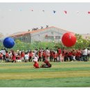 고양한내초등학교 이미지