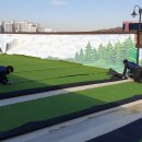 한아름요양병원 이미지