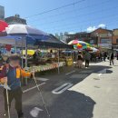 양수리전통시장 | [여행][2025.09.21] 경기 양평군 / 양수리전통시장 / 상당히 규모가 컸던 전통시장의 향과 멋