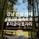 산청카페 추천 지금이꽃자리 남사예담촌 한옥 커피숍 가볼만한곳 코스