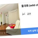 새나루펜션 이미지