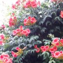 모나코펜션 이미지