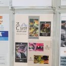 준동물병원 | 자양동동물병원 준동물병원 노랭이 치과치료 스케일링 치주염 Forl 치료후기