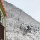 월악산 꽃피는 산골 이미지