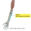 안심지 이미지