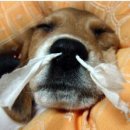 덕성여대점 이미지