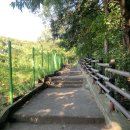 성향산곰장어 | [주간일기 16주]1박 2일 부산여행, 드라이브코스 총 정리