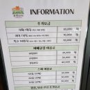 강화도 애견펜션 로만티카 애견리조트 – 여긴 진짜 찐이에요… 또 갈 예정입니다!