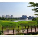 의료법인백송의료재단 굿모닝병원 이미지