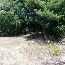 제주도성산공인중개사사무소 이미지