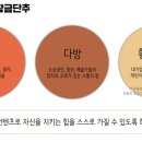 영상다방황금단추