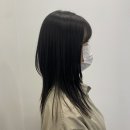 토리헤어(합성점)