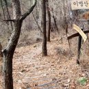 구영목장 Daum카페