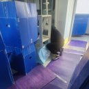 미소컴퓨터 | 5톤 반포장 포장 미소 소형 이사 업체 비용 및 후기