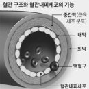무등산약국 이미지