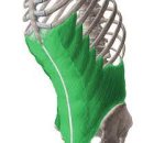 로그짐 올림픽공원점 이미지