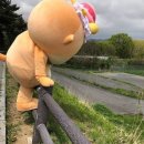 푸른밤 그별아래 이미지