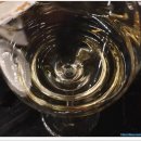 씨트루스 이미지