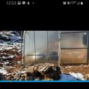 동영상편집 유튜버되기 이미지